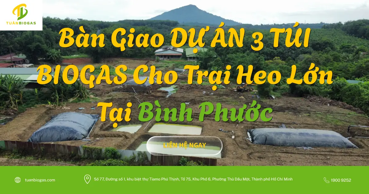 Bàn Giao 3 Túi Biogas Cho Trang Trại Heo Quy Mô Lớn Tại Bình Phước